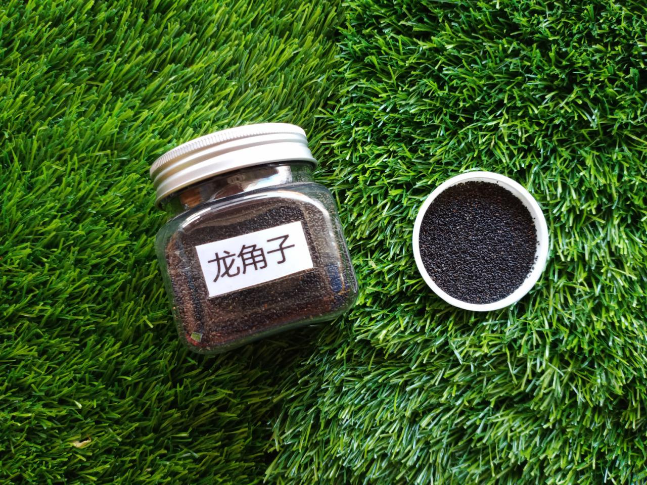 龙角子（150g）